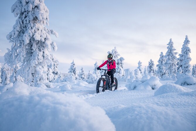 Private Electric Fat Bike Tour in Saariselkä - Good To Know