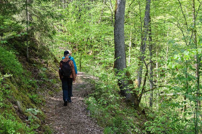 Private Full-Day Hiking Tour in Sigulda and Gauja National Park - Good To Know