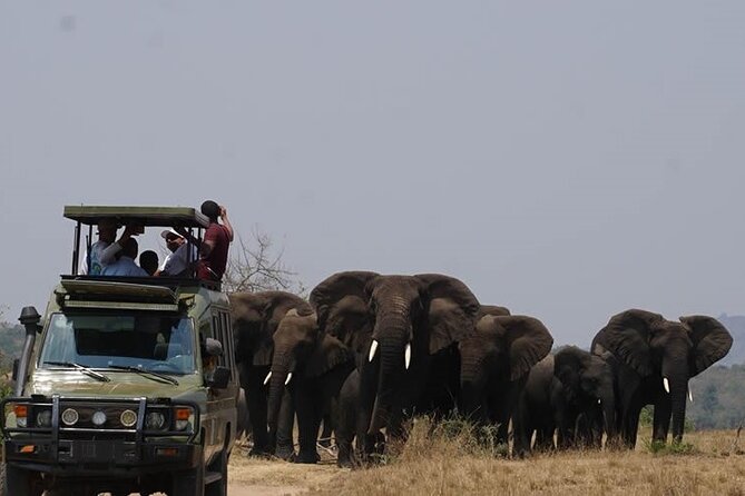 Private Full-Day Tour Akagera Game Drive - Good To Know