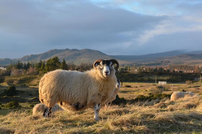 Private Full-Day Tour to the Scottish Highlands and Loch Ness - Good To Know