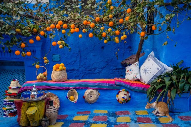 Private Full-Day Trip in Chefchaouen - Overview of Chefchaouen Trip