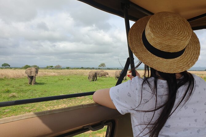 Private Full-Day Trip to Mikumi National Park From Dar Es Salaam - Good To Know