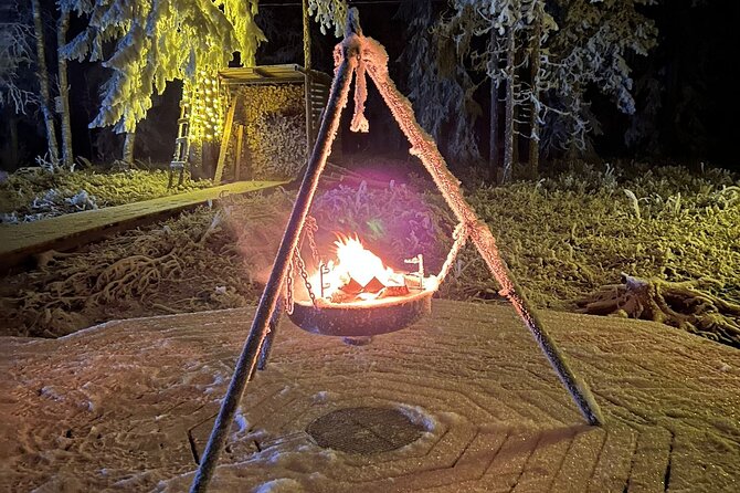 PRIVATE Glass Igloo Dinner Under Northern Lights - Good To Know