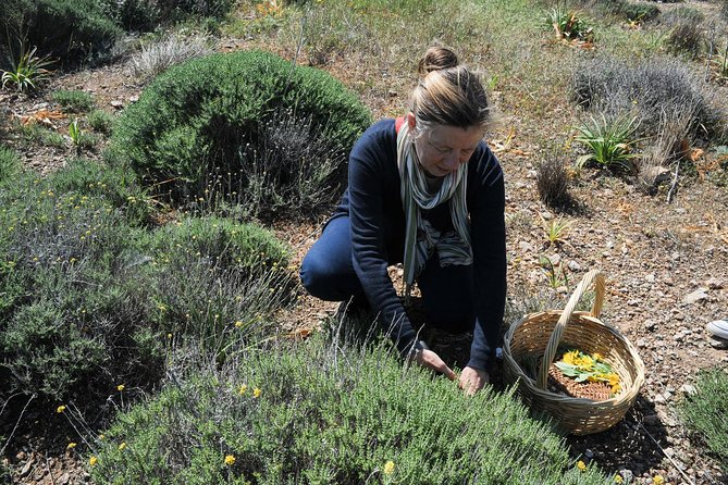 Private Greek Cooking Class and Foraging Experience in Syros - Exploring Local Agriculture