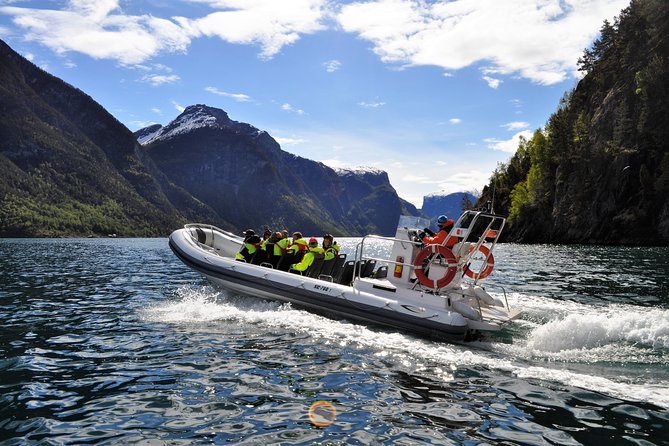 Private Guided Day Tour - RIB Nærøyfjord Safari & Flåm Railway - Good To Know