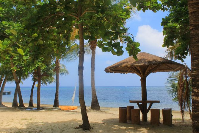 Private Guided Gumbalimba Park Tour From Roatán - Good To Know