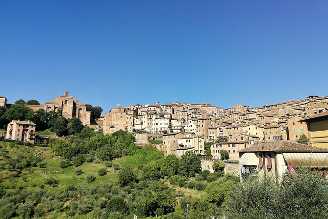 Private Guided Tour of Siena With a Licensed Local Tour Guide - Good To Know