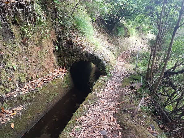 Private Guided Walk Levada Ribeira Da Janela - Good To Know