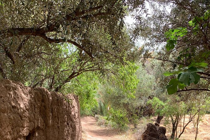 Private Half-Day Mountain Biking Excursion to Discover the Palm Grove of Skoura - Inclusions and Amenities