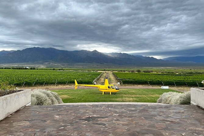 Private Helicopter Tour to Visit Wineries in Mendoza