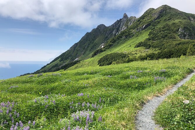 Private Hiking Tour in Sitka, Alaska - Good To Know