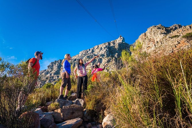 Private Hiking Tour of Table Mountain - Good To Know