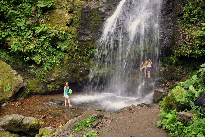 Private Hiking Tour to Mtirala National Park From Batumi - Good To Know