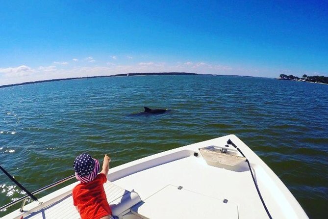 Private Hilton Head Dolphin Watching Tour With Waterfront Dining Stops - Inclusions and Highlights