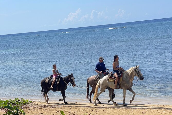 Private Horse Riding With Monkey and Sloth Wild Life + Beach Day