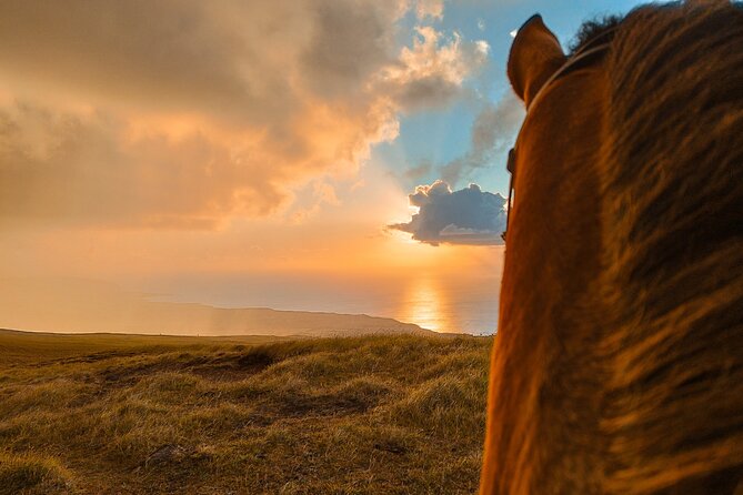 Private Horseback Riding on Easter Island - Good To Know