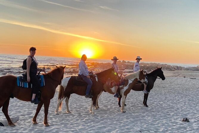 Private Horseback Riding Tour to Watch the Sunset in Nosara - Good To Know