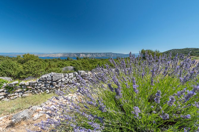 Private Hvar Island Tour and Olive Oil Tasting - Good To Know