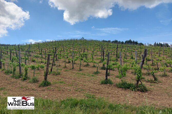 Private Irpinia Wine Tour From NAPLES With Sommelier - Good To Know
