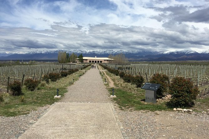 Private Lujan Wine Tour With Gourmet Wine-Paired Lunch From Mendoza - Good To Know