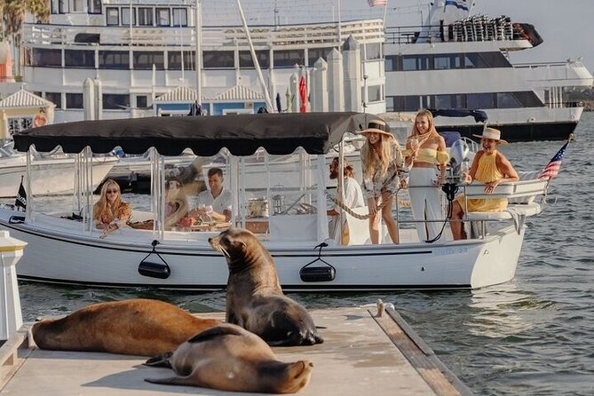Private Luxury E-Boat Cruise With Wine, Charcuterie & Sea Lions Spotting - Good To Know