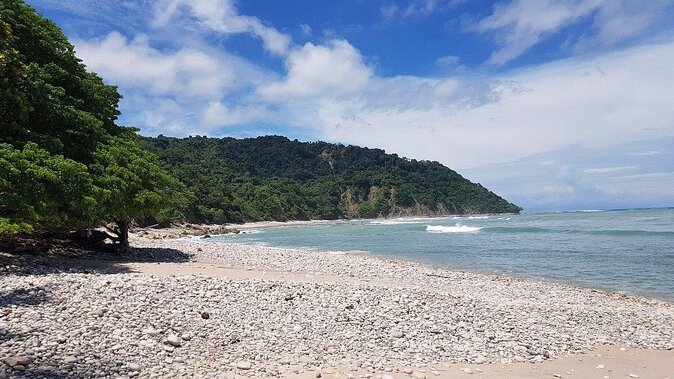 Private Nature Tour in Cabo Blanco Park Costa Rica - About Your Stay