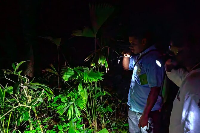 Private Night Adventure in Manzanillo Refuge - About Your Stay