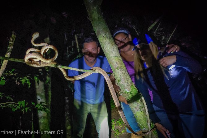 Private Night Hike In The Woods - Good To Know