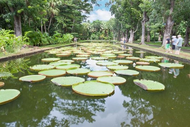 Private North Day Tour: Botanical Garden, Sugar Museum, Rum Tasting, Port Louis - Good To Know