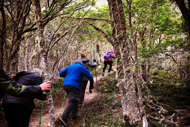 Private Patagonian Forest Hike in Punta Arenas: 8 Hour - Good To Know