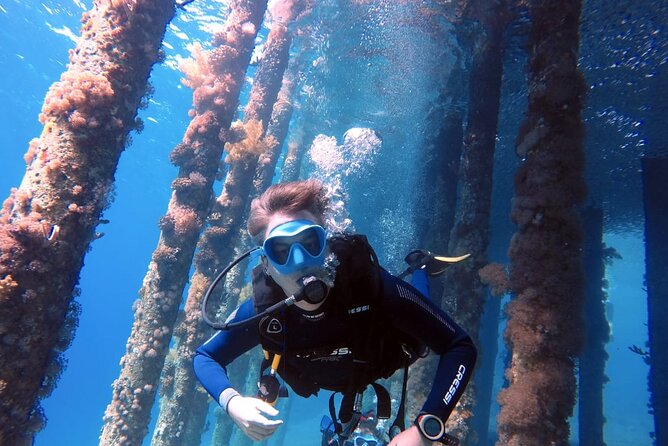 Private Scuba Diving Adventure in the Red Sea of Aqaba - Good To Know