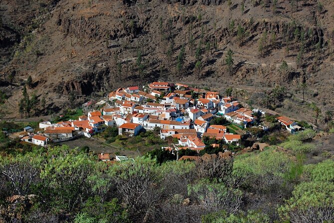 Private Shore Excursion in Gran Canaria the Miniature Continent - Good To Know
