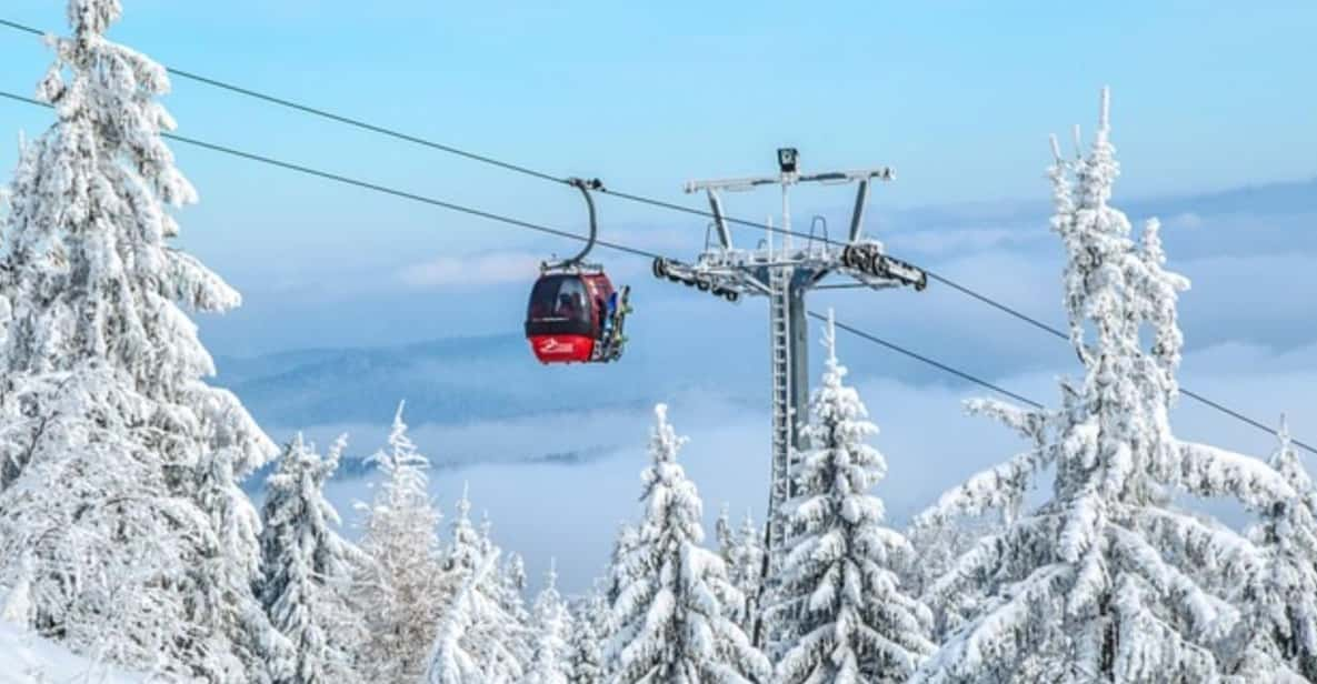 Private Ski Safari Day With Transport - Key Points