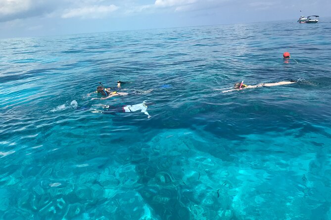 Private Snorkel to Key Largo Reef for up to 12 - INCLUDES GEAR! - Good To Know