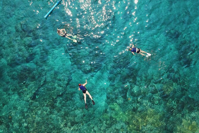 Private Snorkeling With Turtles With BBQ Food - Good To Know