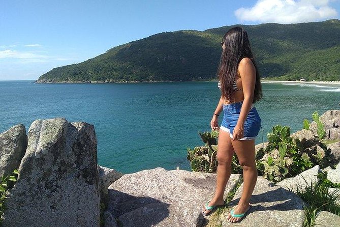 Private South Island Beaches and Lagoons Tour - Inclusions and Amenities