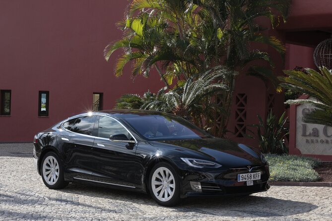 Private South Tenerife Airport Transfer to South Hotels - Good To Know