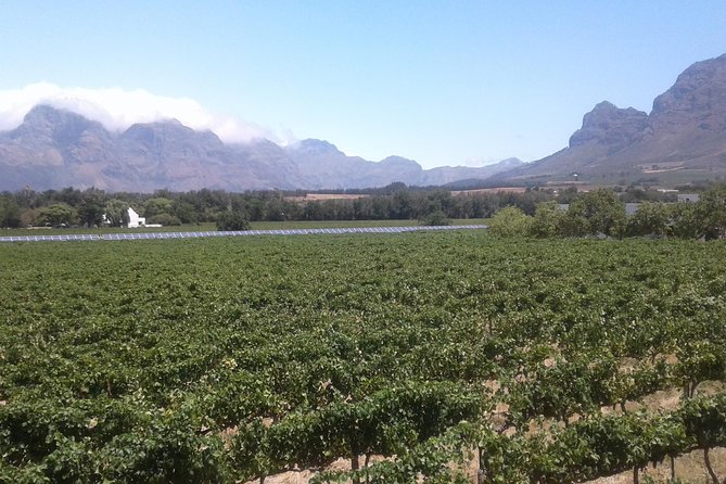 Private Stellenbosch, Franschhoek Paarl Wine Tour From Cape Town - Tour Overview