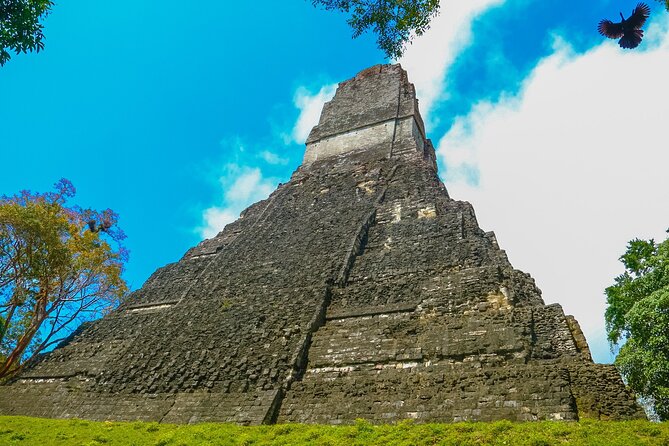 Private Tikal Mayan City Tour With Lunch - Inclusions and Pricing