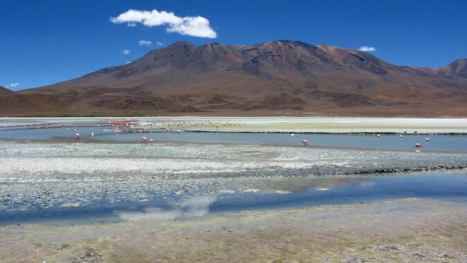 Private Tour: 2 Days Uyuni Salt Flats & Volcano Tunupa From Uyuni - About Your Stay