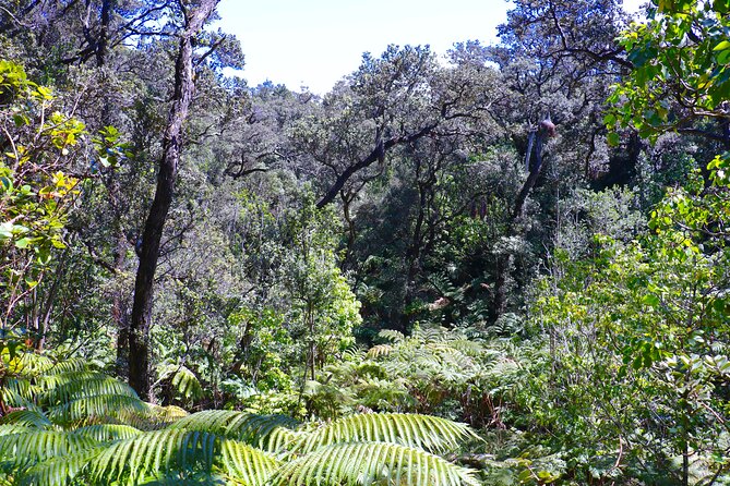 Private Tour: Experience Active Kilauea Volcano & Hilo Rainbow Falls - Good To Know