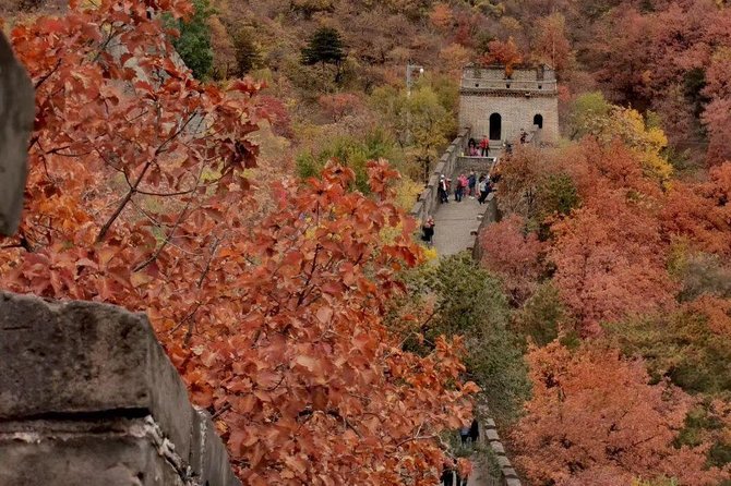 Private Tour: Forbidden City and Mutianyu Great Wall With Cable Car or Toboggan - Itinerary Overview