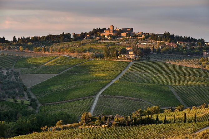 Private Tour From Livorno Port to Chianti Wine Region - Good To Know