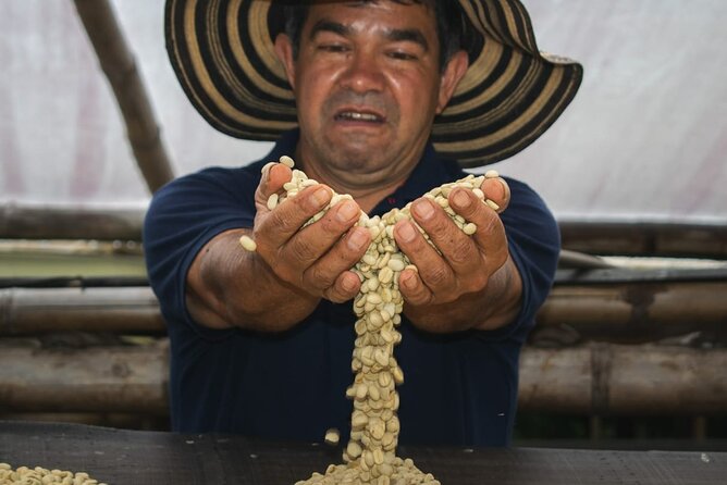 Private Tour in an Authentic, Ecological Local Coffee Finca. - Good To Know