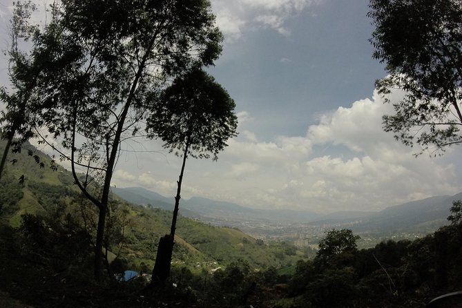 Private Tour: La Miel Magnificent Natural Reserve Hike - About Your Stay