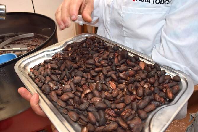 Private Tour: Peacebuilding in Antioquia - From Coca Fields to Cocoa! - Cacao Cultivation in San Francisco