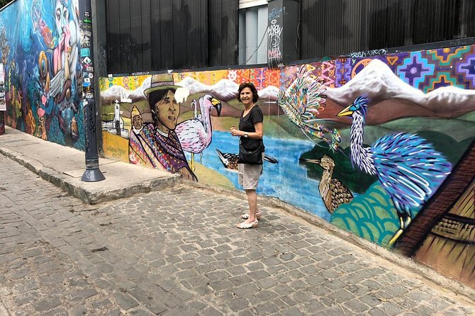 PRIVATE TOUR: Pre-Post Cruise Viña Del Mar Valparaiso and Casablanca Winery TOUR - Good To Know