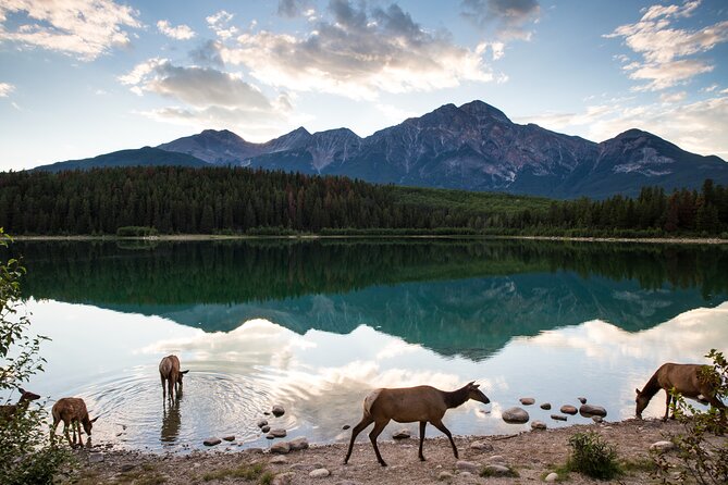 Private Tour: The Best of Banff National Park - Half Day - Good To Know