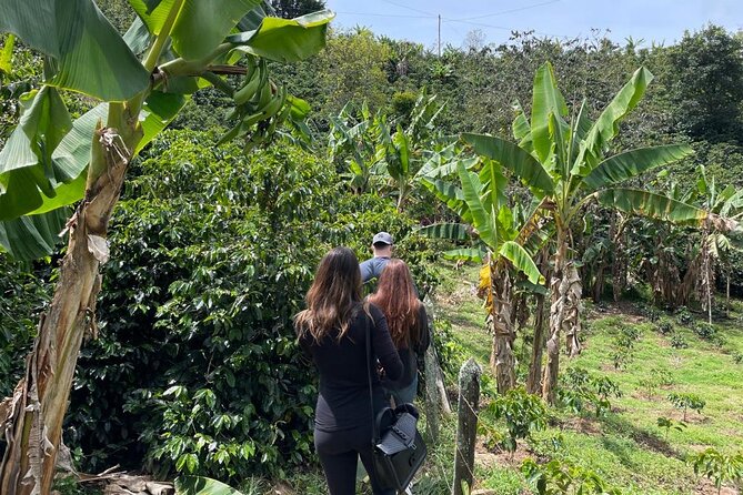 Private Tour to Guatapé & Local Family Coffee Farm! - Tour Overview
