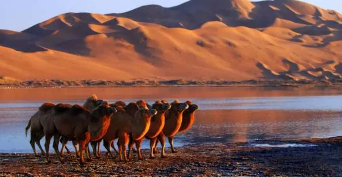 Private Tour to Pass Through Tengger Desert and Five Lakes - Discovering the Desert Scenery